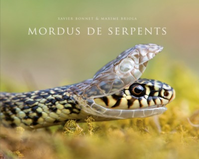 Image de Mordus de serpents