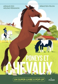 Picture of Poneys et chevaux