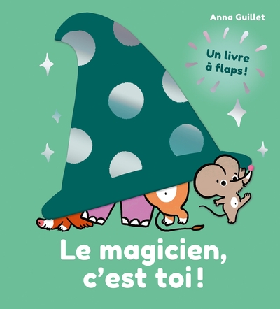 Picture of Le magicien, c'est toi !