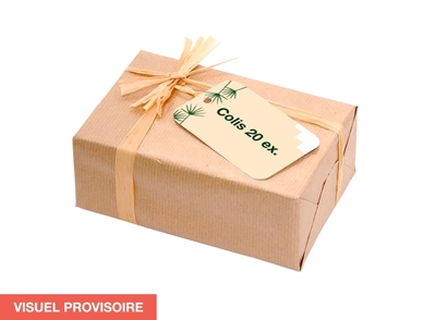 Picture of COLIS MPQ ET PTS POURQUOI 20 EX 2024