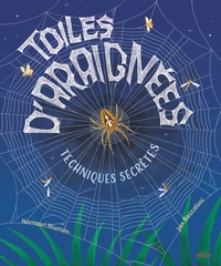 Image de Toiles d'araignées : techniques secrètes