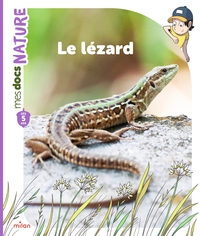 Picture of Le lézard
