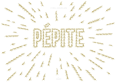 Picture of Pépite