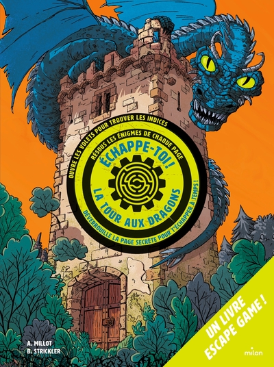 Image de Échappe-toi de la tour aux dragons