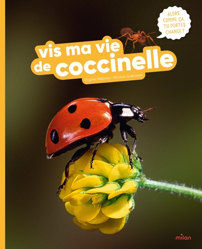 Picture of Vis ma vie de coccinelle