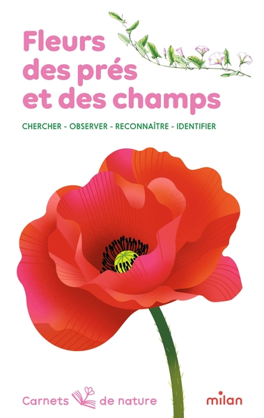 Image de Fleurs des prés et des champs