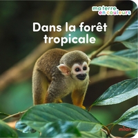 Image de Dans la forêt tropicale