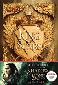Image de King of Scars, Tome 01
