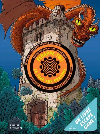 Picture of Échappe-toi de la tour aux dragons