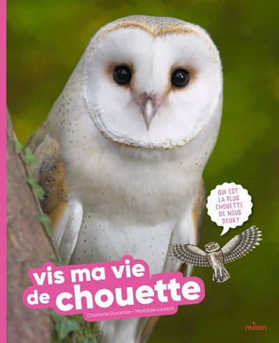 Image de Vis ma vie de chouette