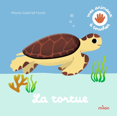 Picture of La tortue