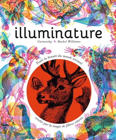 Picture of Illuminature