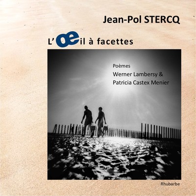 Image de L'œil à facettes