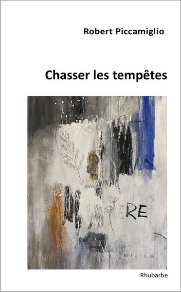 Image de Chasser les tempêtes