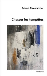 Image de Chasser les tempêtes