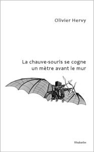 Picture of La chauve-souris se cogne un mètre avant le mur