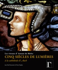 Picture of Cinq siècles de lumières à la cathédrale d'Auch - les vitraux d'Arnaut de Moles
