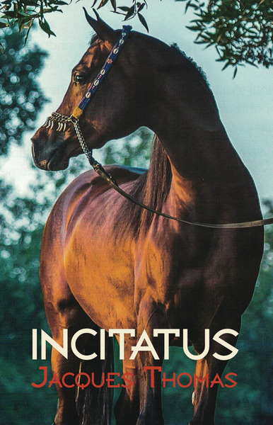 Picture of Incitatus
