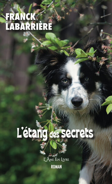 Image de L'étang des secrets