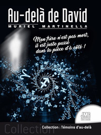 Image de Au-delà de David - Mon frère n'est pas mort, il est juste passé dans la pièce d'à côté !
