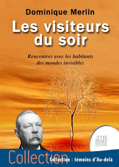Image de Les visiteurs du soir - Rencontres avec les habitants des mondes invisibles