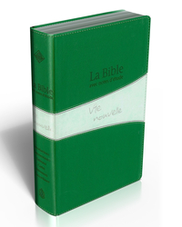 Image de Bible Segond 21 Vie nouvelle : souple duo vert, tranches argent, avec boîtier
