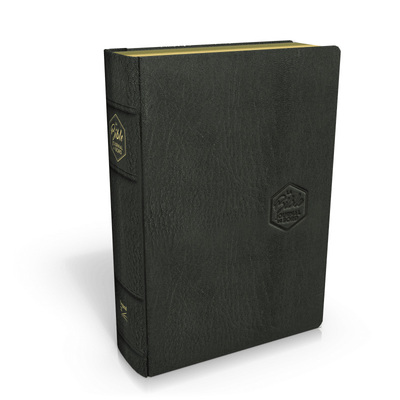 Image de Bible Segond 21 Journal de bord : couverture cuir véritable noir