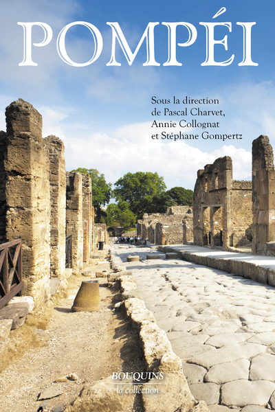 Picture of Pompei