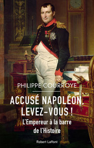Image de Accusé Napoléon, levez-vous ! - L'Empereur à la barre de l'Histoire