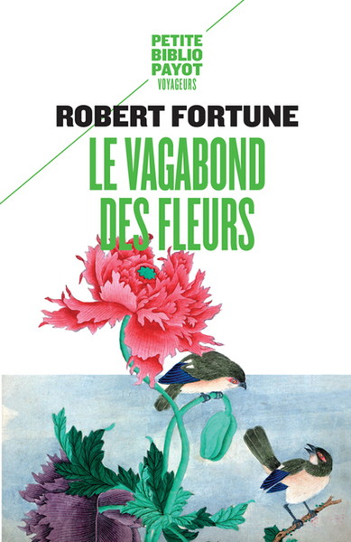 Picture of Le Vagabond des fleurs