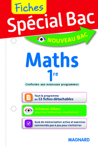 Picture of Spécial Bac Fiches Maths 1re