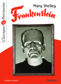 Picture of Frankenstein - Classiques et Patrimoine