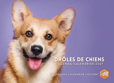 Picture of Drôles de chiens - Agenda - Calendrier - Semainier 2027