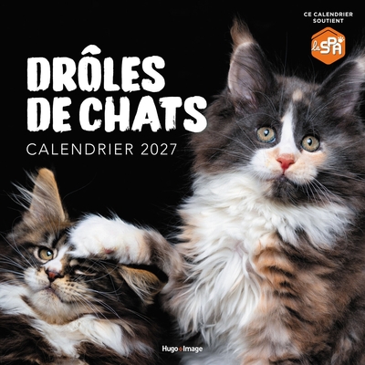 Picture of Calendrier mural Drôles de chats 2027