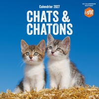 Picture of Calendrier mural Chats et Chatons 2027