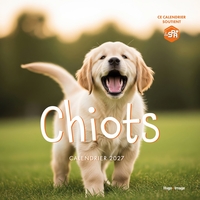 Picture of Calendrier mural Chiots 2027