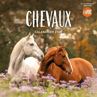 Picture of Calendrier mural Chevaux 2027