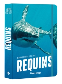Picture of Agenda scolaire requins 2026-2027