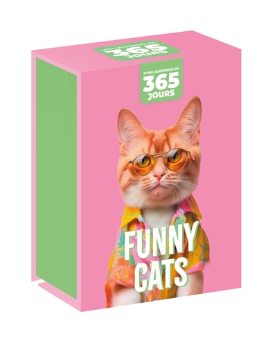 Picture of Mon calendrier - Funny cats