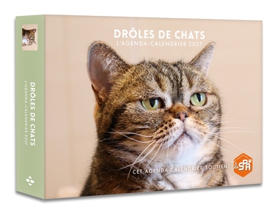 Image de Drôles de chats - Agenda - Calendrier - Semainier 2027