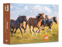 Picture of Chevaux - Agenda - Calendrier - Semainier 2027