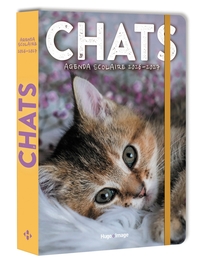 Picture of Agenda scolaire chats 2026-2027