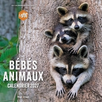 Picture of Calendrier mural Bébés Animaux 2027