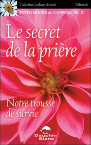 Picture of Le secret de la prière - Notre trousse de survie