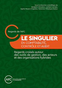 Picture of Le Singulier en comptabilité, contrôle et audit