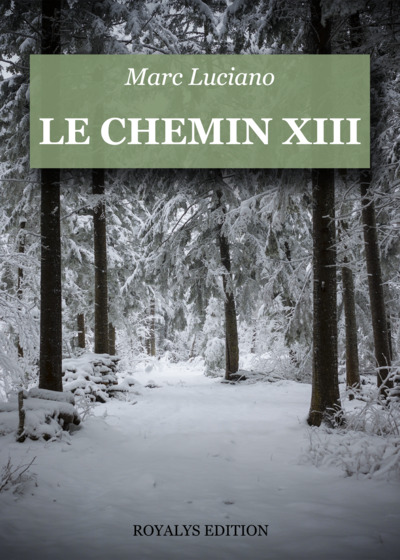 Image de Le chemin XIII