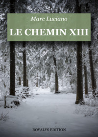 Picture of Le chemin XIII