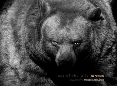 Picture of Out of the Wild /anglais