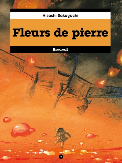 Picture of Fleurs de pierre tome 4