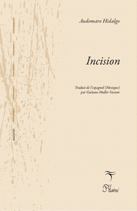 Picture of Incision
